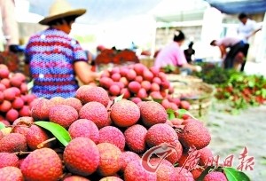 點(diǎn)擊瀏覽下一頁